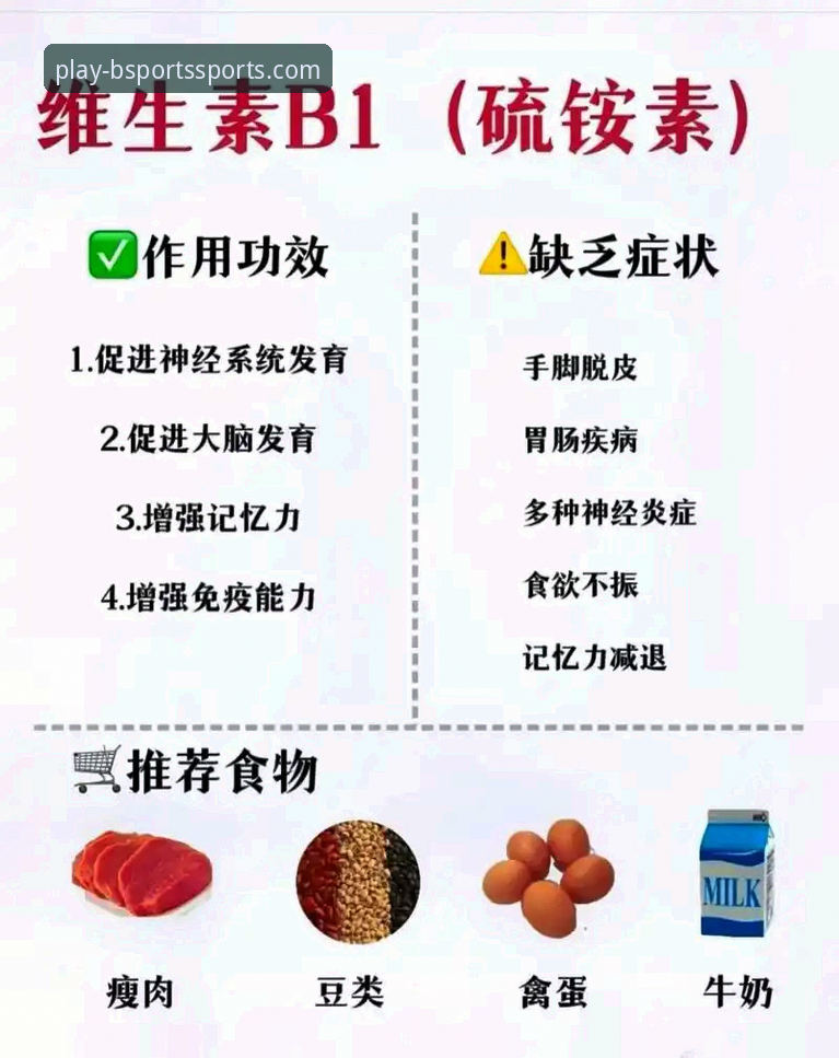 揭秘B体育官网手机版：新手必看的下载安装全攻略与实用技巧