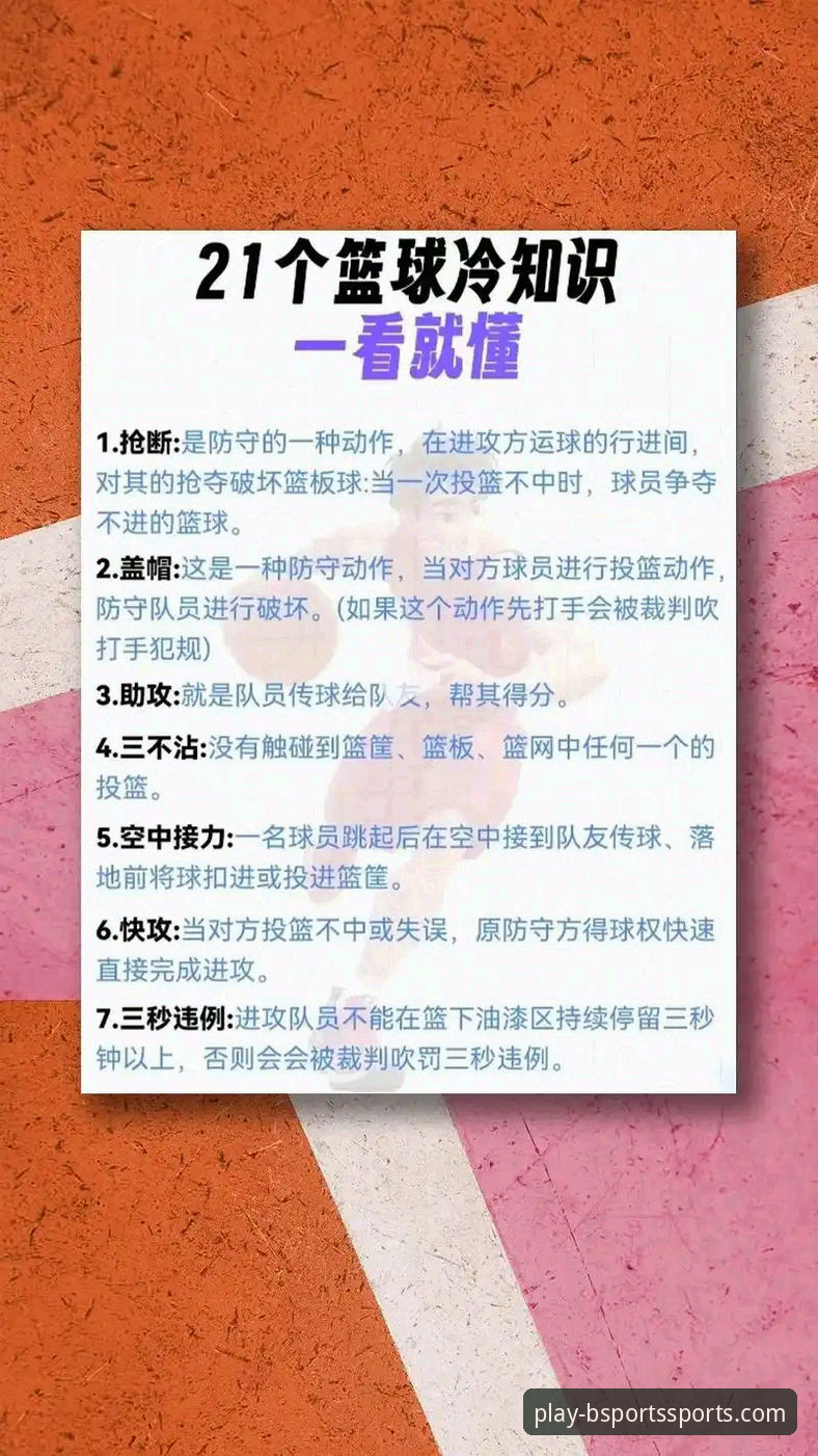B体育手机版下载 B体育手机版下载与使用全攻略:新手必备知识